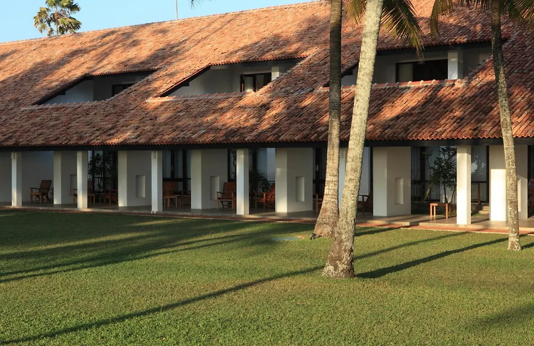 Thaala Bentota-1